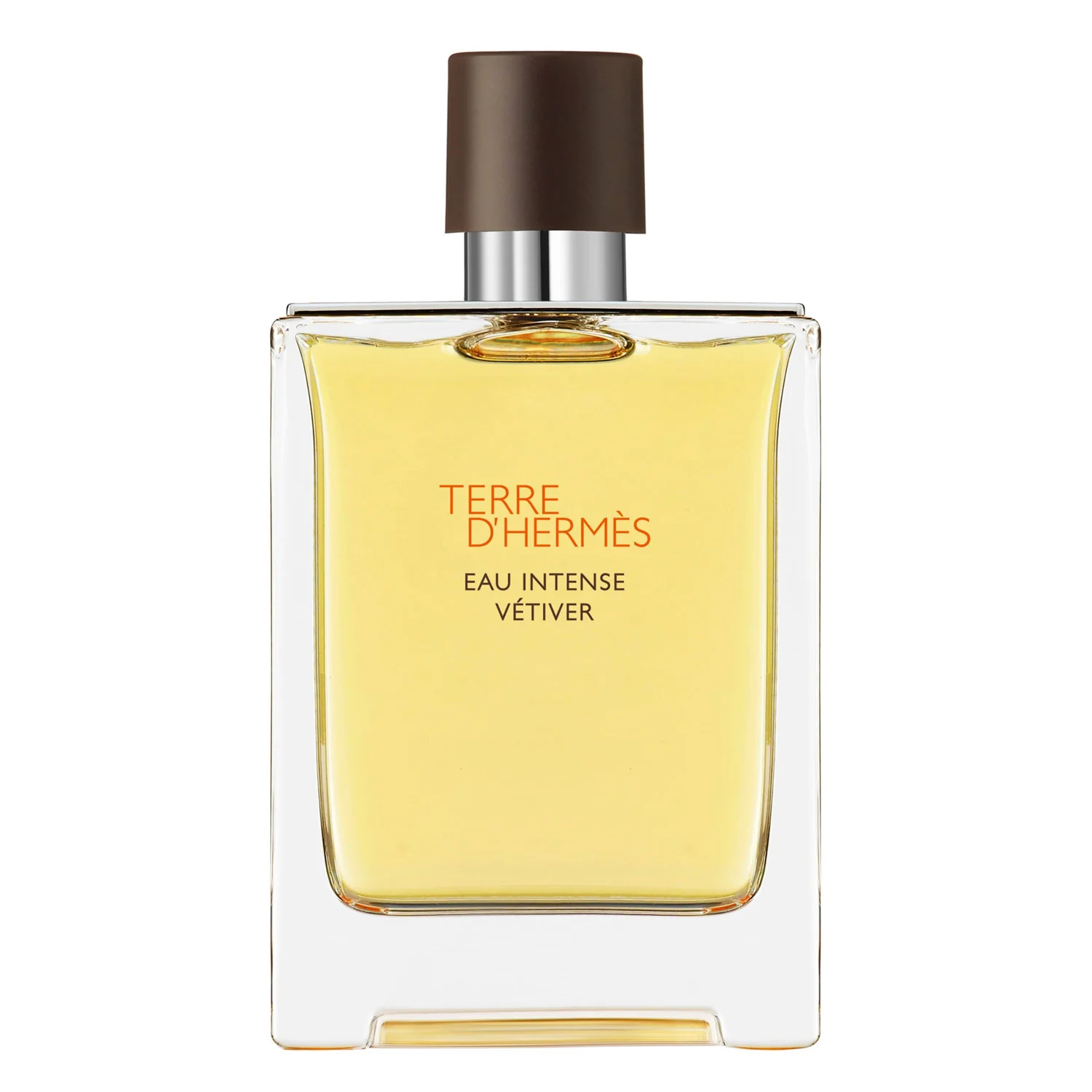 Terre D'Hermes Eau Intense Vetiver by Hermes
