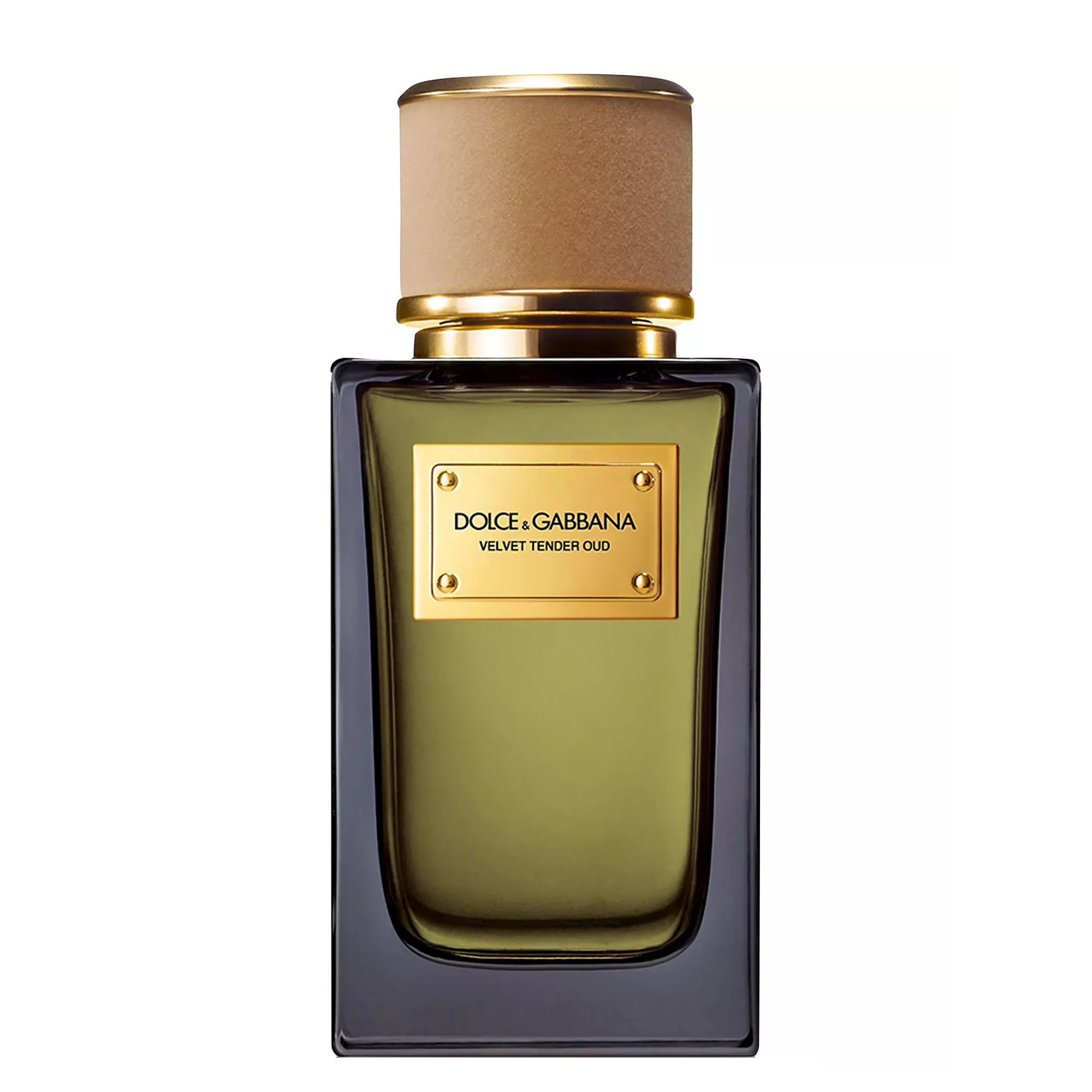 Velvet Tender Oud by Dolce & Gabbana
